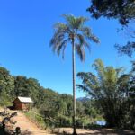 Colina Verde Ecopark