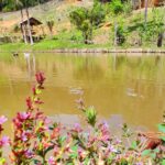 Colina Verde Ecopark (3)