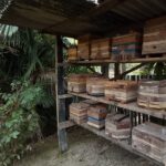 Recanto da J (39)